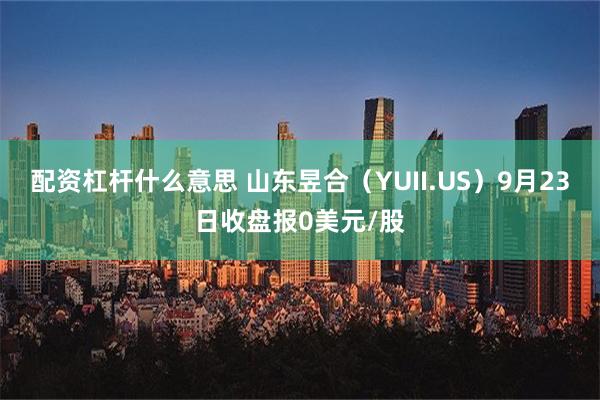 配资杠杆什么意思 山东昱合（YUII.US）9月23日收盘报0美元/股