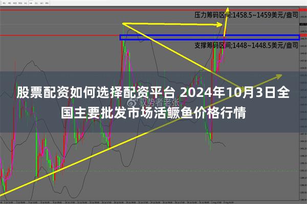 股票配资如何选择配资平台 2024年10月3日全国主要批发市场活鳜鱼价格行情