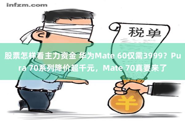 股票怎样看主力资金 华为Mate 60仅需3999？Pura 70系列降价超千元，Mate 70真要来了