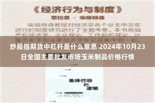 炒股指期货中杠杆是什么意思 2024年10月23日全国主要批发市场玉米制品价格行情