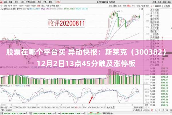 股票在哪个平台买 异动快报：斯莱克（300382）12月2日13点45分触及涨停板