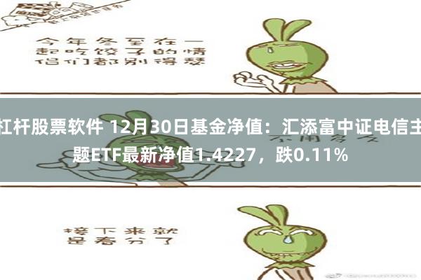 杠杆股票软件 12月30日基金净值：汇添富中证电信主题ETF最新净值1.4227，跌0.11%